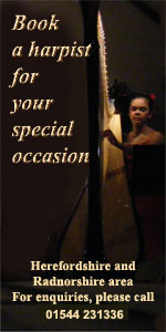 Book a Harpist for your special occasion - 01544 231336