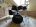 MAPEX Horizon Limited Edition Drum Kit - thumbnail picture 2