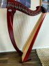 Lever Harp 38 strings Salvi Una - click image for more information