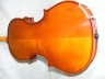 Stentor II violin 3/4 size - thumbnail picture 3