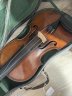 Violin - Full Size - click image for more information