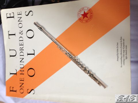 Flute one hundred and one solos
