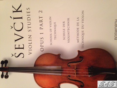 sevcik violin studies