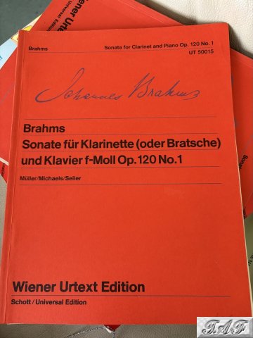 Sonata for clarinet and piano op 120 no 1