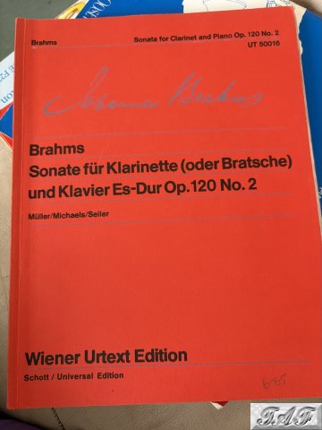 Sonata for clarinet and piano op 120 no 2