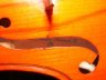 Stentor student II full size violin - thumbnail picture 2