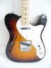 Fender 69 Telecaster Thinline - thumbnail picture 2