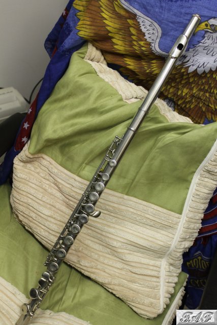 Vintage Hernals S100 Flute - Item MI-100506 for sale on SellMyFlute