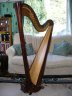Salvi Daphne 40 String pedal harp - thumbnail picture 1