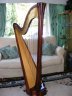 Salvi Daphne 40 String pedal harp - thumbnail picture 2