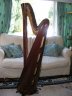 Salvi Daphne 40 String pedal harp - thumbnail picture 3