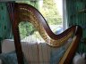 Salvi Daphne 40 String pedal harp - thumbnail picture 4