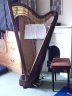 Beautiful Pilgrim 41 string pedal harp - thumbnail picture 1