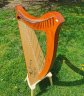 Salvi Juno 25 string Harp - thumbnail picture 1