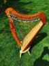 Salvi Juno 25 string Harp - thumbnail picture 3