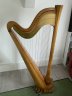 43 String Pedal Harp - Tecwyn Jones - thumbnail picture 1