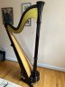 AOYAMA HARP - thumbnail picture 1