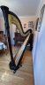 AOYAMA HARP - thumbnail picture 2