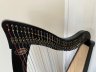 Dusty Strings - Ravenna 34 - thumbnail picture 3