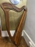 Pilgrim Harp Clarsach 34 strings - thumbnail picture 2