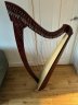 38-string Salvi Titan Harp in mint condition - thumbnail picture 1