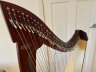 38-string Salvi Titan Harp in mint condition - thumbnail picture 2