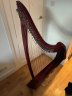 38-string Salvi Titan Harp in mint condition - thumbnail picture 4