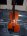 Nearly-new full-size Stentor Conservatoire - thumbnail picture 2