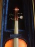 Tatra by Rosetti Stradivarius Model 3/4 Violin - thumbnail picture 2