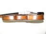 Old English Violin Labelled - thumbnail picture 2