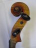 German violin 1909 Andrea Fiorini for Beare & Sons - thumbnail picture 3