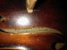 Guiseppe Guanerius Violin by Neuner and Hornsteiner Mittenwald Germany - thumbnail picture 3