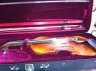 Gewa full size Violin - thumbnail picture 2