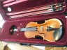 Stentor Elysia full size Violin - thumbnail picture 1