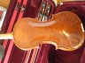 Stentor Elysia full size Violin - thumbnail picture 2