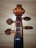 Helen Mitchetschlager Violin - thumbnail picture 2