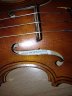 Helen Mitchetschlager Violin - thumbnail picture 4