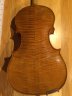 A German violin by Bruno Franz Paulus Mittenwald - thumbnail picture 3
