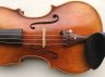 Joseph Guarnerius Intermediate Violin Pristine - thumbnail picture 2
