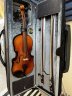 Violin Full size - thumbnail picture 1