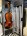 Violin Full size - click image for more information